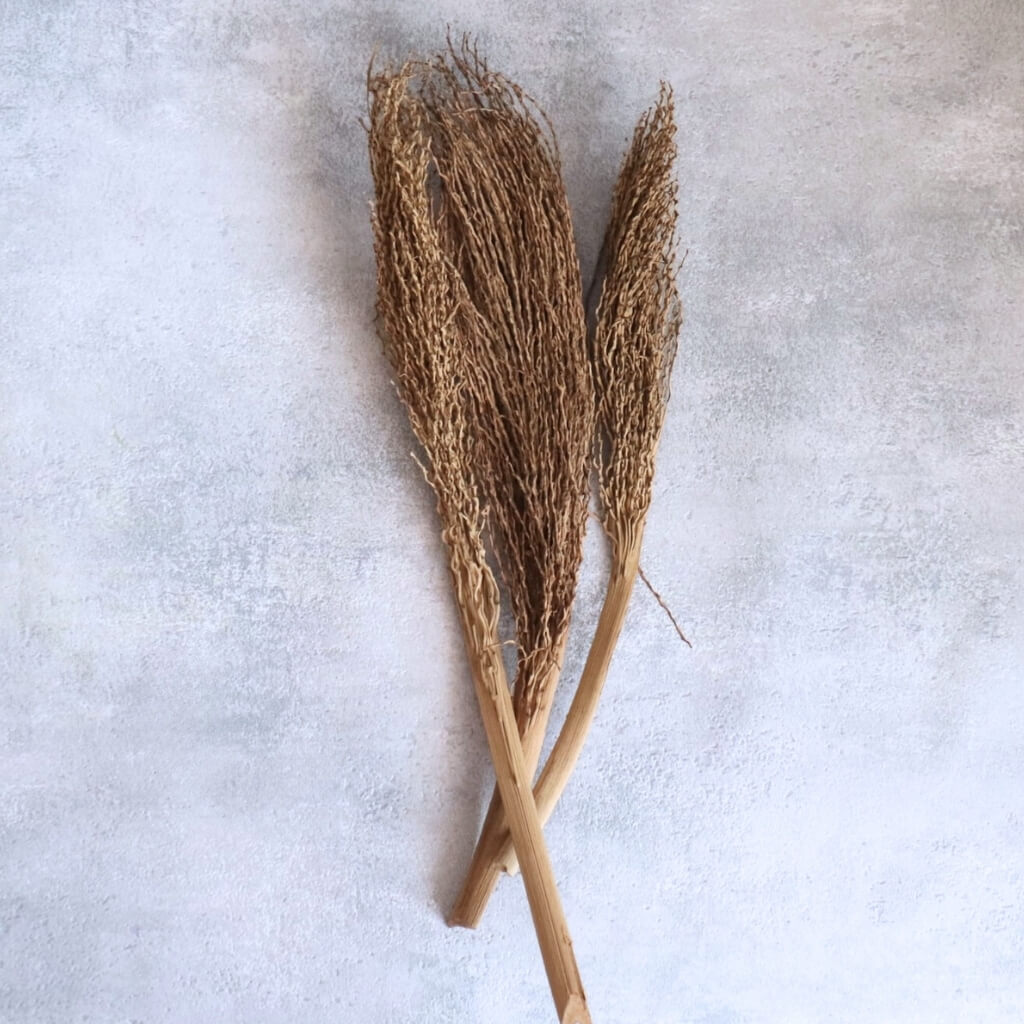 Sušený Khejur Jhar – přírodní list datlovníku, exotický přírodní doplněk pro originální aranžmá